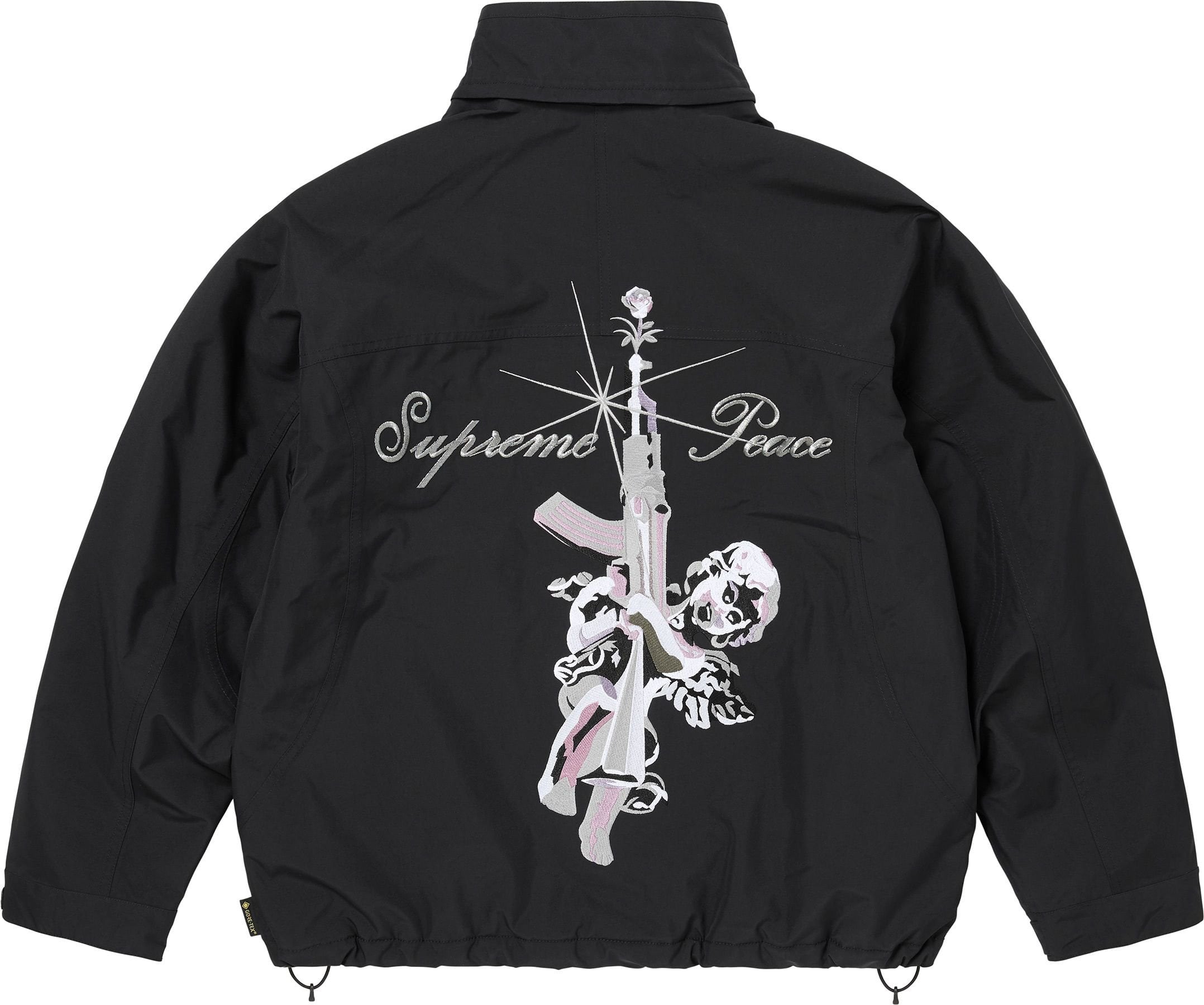 AOI GORE-TEX Hooded Jacket view 6